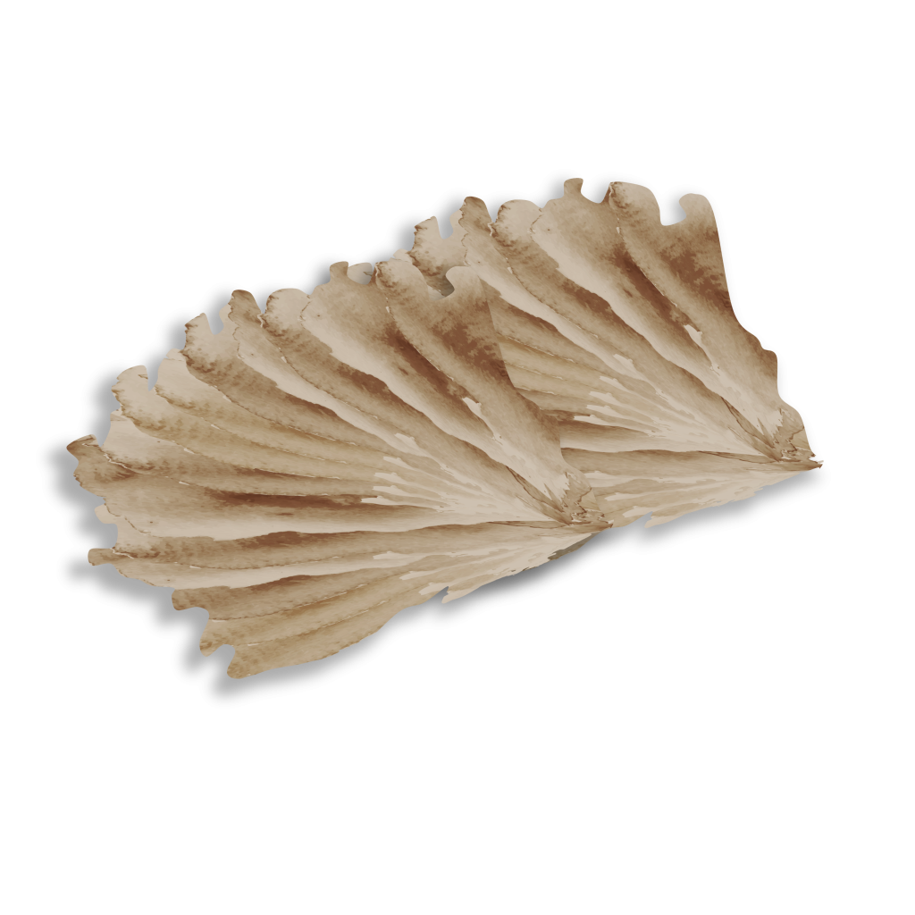 g4-1024x1024-1.png